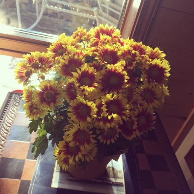 Flowers to add to a bright autumn day
